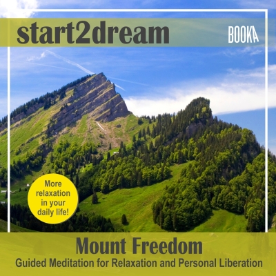 Audiolibro Guided Meditation “Mount Freedom” de Nils Klippstein