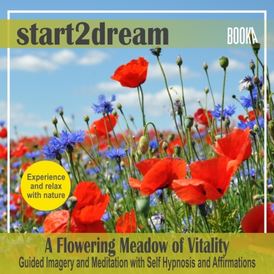 Audiolibro Guided Meditation “Flowering Meadow” de Nils Klippstein