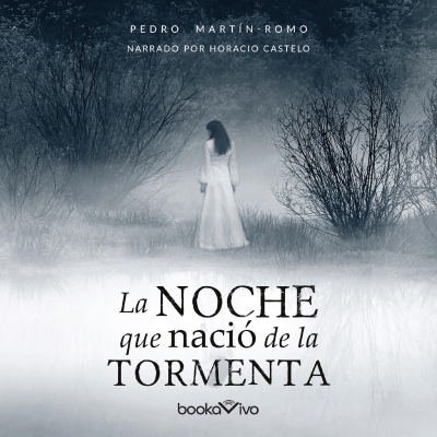Audiolibro La noche que nació la tormenta (The Night that the Storm was Born) de Pedro Martin-Romo