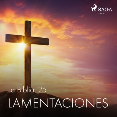 Audiolibro La Biblia: 25 Lamentaciones de Anónimo