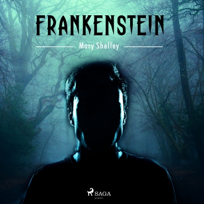 Audiolibro Frankenstein de Mary Shelley