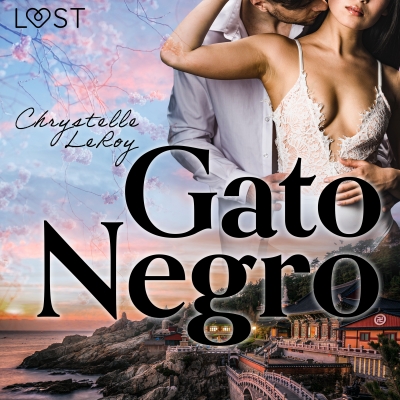 Audiolibro Gato Negro de Chrystelle LeRoy