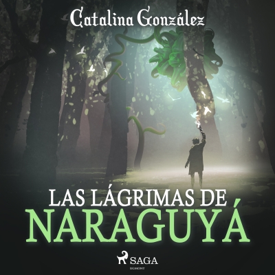 Audiolibro Las lágrimas de Naraguyá de Catalina González