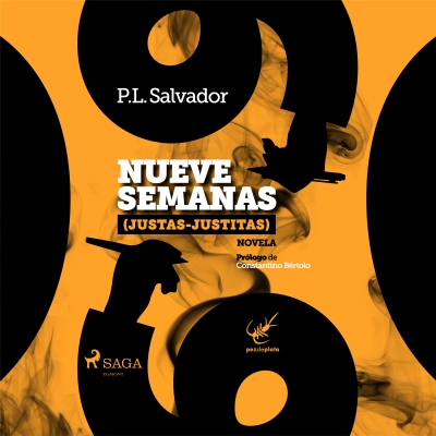 Audiolibro Nueve semanas de P. L. Salvador