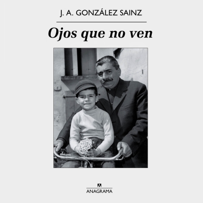 Audiolibro Ojos que no ven de José Ángel González Sainz