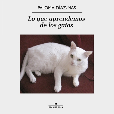 Audiolibro Lo que aprendemos de los gatos de Paloma Díaz-Mas